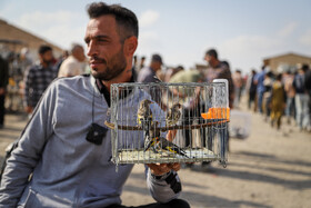 بازار پرنده‌فروش‌های بجنورد