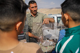 بازار پرنده‌فروش‌های بجنورد