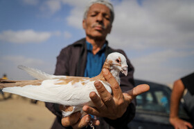 بازار پرنده‌فروش‌های بجنورد