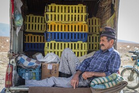 بازار پرنده‌فروش‌های بجنورد