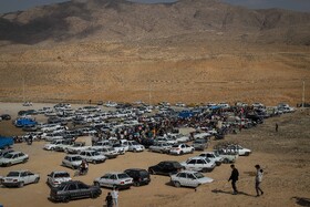 بازار پرندهفروشهای بجنورد