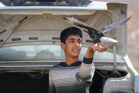 بازار پرنده‌فروش‌های بجنورد