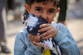 بازار پرنده‌فروش‌های بجنورد