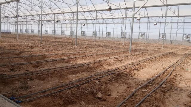 راه‌اندازی نخستین گلخانه صنعتی تولید صیفی‌جات در دشت‌عباس