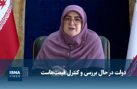 ویدیو/ مهاجرانی:‌ دولت در حال بررسی و کنترل قیمت‌هاست