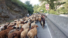 جاده چالوس مسدود است