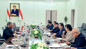 تاکید سفیر کشورمان بر تشکیل «کمیته مشترک سلامت» ایران و تاجیکستان