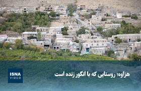 ویدیو/ هزاوه؛ روستایی که با انگور زنده است