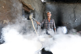 فصل انگور در «هزاوه»