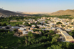 فصل انگور در «هزاوه»