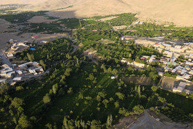 فصل انگور در «هزاوه»