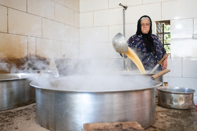 فصل انگور در «هزاوه»