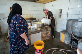 فصل انگور در «هزاوه»