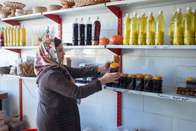 فصل انگور در «هزاوه»