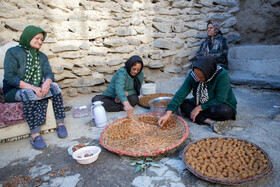 فصل انگور در «هزاوه»