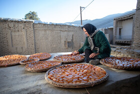 فصل انگور در «هزاوه»