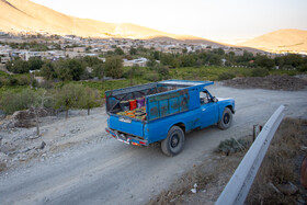 فصل انگور در «هزاوه»