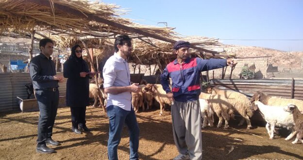 بررسی علمی نرخ باروری در گله میشهای داشتی عرب رودبار