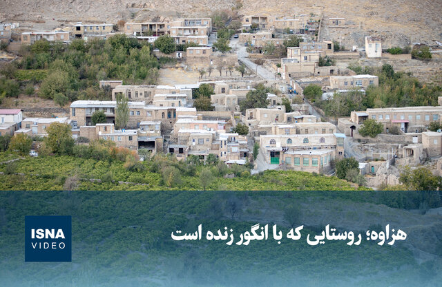 ویدیو/ هزاوه؛ روستایی که با انگور زنده است