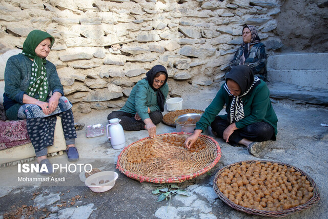 چه کسانی می‌توانند در صندوق بیمه اجتماعی روستاییان خود را بیمه کنند؟