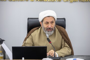ایمانیپور: از ایدههای نو در حوزه دیپلماسی زنان و خانواده حمایت میکنیم