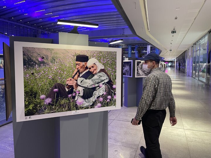 «سایه، روشن» جشنواره فیلم کوتاه تهران 5