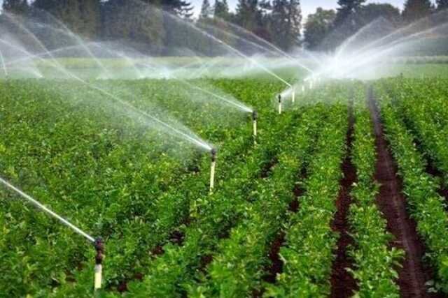 هوشمندسازی مزارع، کلید عبور از بحران آب و افزایش بهره‌وری کشاورزی ایران