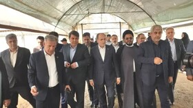 لزوم توجه جدی به تامین زیرساخت‌های صادراتی/ کشت‌های صادراتی جیرفت مورد توجه وزیر