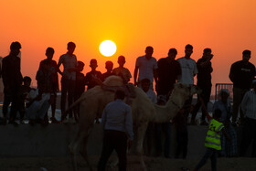 فستیوال عیش حرا