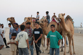 فستیوال عیش حرا