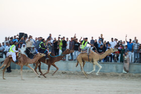 فستیوال عیش حرا