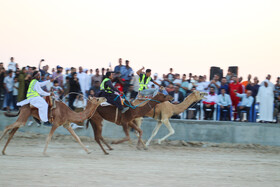 فستیوال عیش حرا