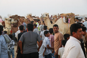 فستیوال عیش حرا