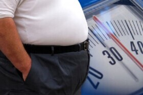 محیط‌های صنعتی و چرخه خطرناک استرس و چاقی