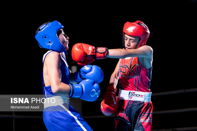 عکس تزئینی است. اختصاص ۴۰۰۰ متر زمین در ورزشگاه آزادی برای احداث آکادمی بوکس