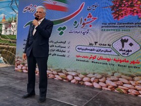 پیشرفت ۹۵ درصدی احداث پایانه صادراتی پسته زرندیه