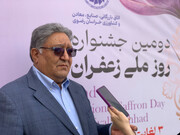 رئیس شورای ملی زعفران: تعهدات ارزی از موانع پیش‌روی صادرکنندگان است
