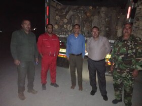 کامیونی با ۱۰تن چوب قاچاق در شهرستان دنا توقیف شد
