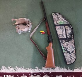 ضبط ۲ قبضه اسلحه شکاری در خلخال و گرمی/ متخلف زنده‌گیری سهره طلایی در پارس آباد دستگیر شد