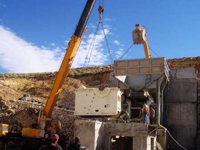 سنگشکنها و زوال بلوط؛ روایت یک تخریب تدریجی در زاگرس