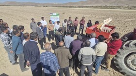 اجرای نهمین کاروان ترویج بهره‌وری الگوی کشت ملی در ۱۱۰ مرکز جهادکشاورزی فارس