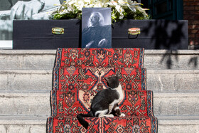 واحد خاکدان به خانه ابدی بدرقه شد