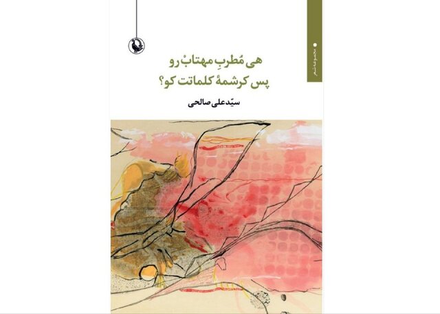 کتاب تازه سیدعلی صالحی منتشر شد