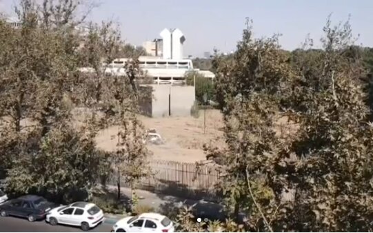 عکس از صفحه اینستاگرام زینب رحیمی، خبرنگار محیط زیست ماجرای قطع درختان موزه فرش