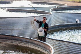 اجرای بیش از ۳۰۰۰۰ طرح اشتغال‌زایی در مناطق محروم در ۷ ماهه امسال