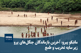 ویدیو/ ماشکو پیرو؛ آخرین بازماندگان جنگل‌های پرو