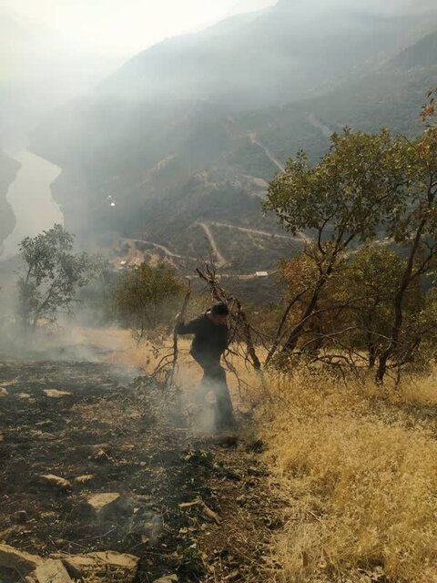 مهار ۶ مورد آتشسوزی طی پنج روز گذشته در زیستگاههای سروآباد مهار ۶ مورد آتشسوزی طی پنج روز گذشته در زیستگاههای سروآباد