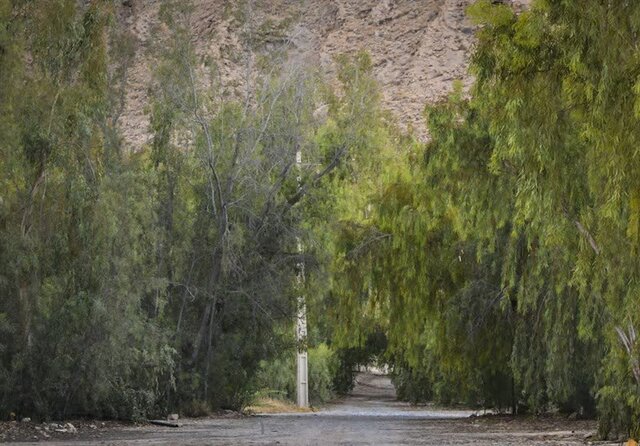 واگذاری مدیریت پارکهای جنگلی به شهرداری باعث حفاظت از جنگلها و جلوگیری از تخریب آنها میشود واگذاری مدیریت پارکهای جنگلی به شهرداری باعث حفاظت از جنگلها و جلوگیری از تخریب آنها میشود