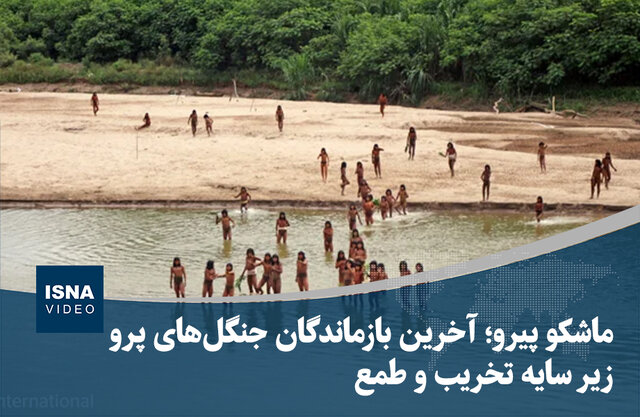 ویدیو/ ماشکو پیرو؛ آخرین بازماندگان جنگل‌های پرو