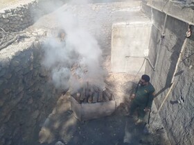 تعطیلی کورههای زغالی غیرمجاز در دشت برم کازرون